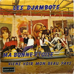 [Pochette de Ma bonne toile (Les DJAMBOTS)]