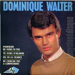 [Pochette de Pourquoi ne viens-tu pas ? (Dominique WALTER)]