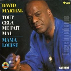 [Pochette de Tout cela me fait mal (David MARTIAL)]