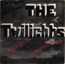 [Pochette de Shadows in the sky (The TWILIGHTS)]