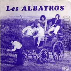 [Pochette de La chasse aux "coin-coins" (Les ALBATROS (3))]