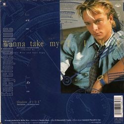 [Pochette de Wanna take my time (David HALLYDAY) - verso]