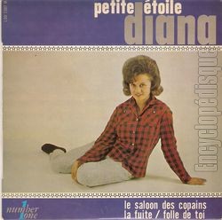 [Pochette de Petite toile (DIANA)]