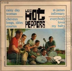 [Pochette de Rainy day woman (Les HOT PEPPERS)]