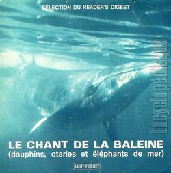 [Pochette de Le chant de la baleine (DOCUMENT)]