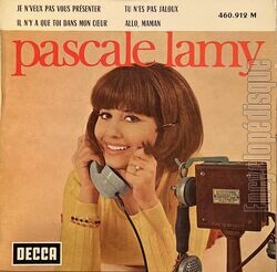 [Pochette de Je n’veux pas vous prsenter (Pascale LAMY)]