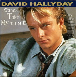 [Pochette de Wanna take my time (David HALLYDAY)]