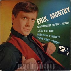 [Pochette de Maintenant, tu veux partir (rik MONTRY)]