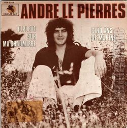 [Pochette de Il pleut sur ma chaumire (Andr LE PIERRES)]