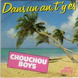 [Pochette de Dans un an, t’y es (CHOUCHOU BOYS)]