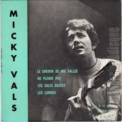 [Pochette de Le chemin de ma valle (Micky VALS)]