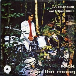 [Pochette de Rook in the moog (Guy DELBROUCK and Arthur SCHUR)]