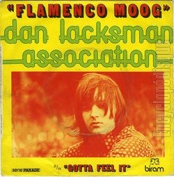 [Pochette de Flamenco moog (Dan LACKSMAN ASSOCIATION)]