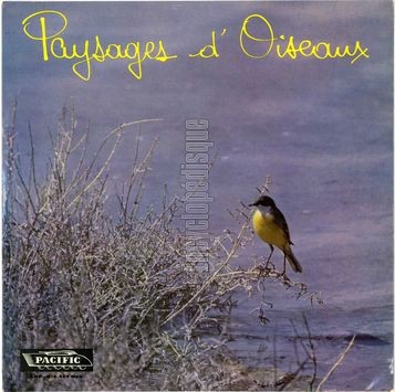 [Pochette de Paysages d’oiseaux (DOCUMENT)]