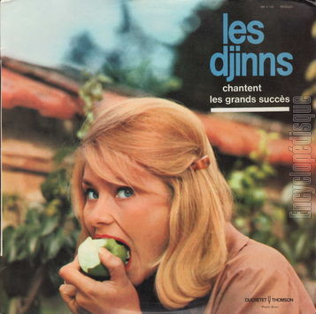 [Pochette de Les grands succs (Les DJINNS)]