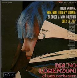 [Pochette de Fleur sauvage (Bruno LORENZONI)]