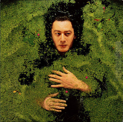 [Pochette de Fantaisie militaire (Alain BASHUNG)]