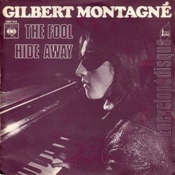 [Pochette de The fool (Gilbert MONTAGN)]